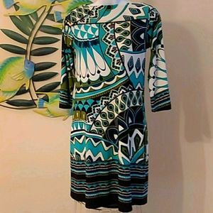 En Focus Dress Size 4